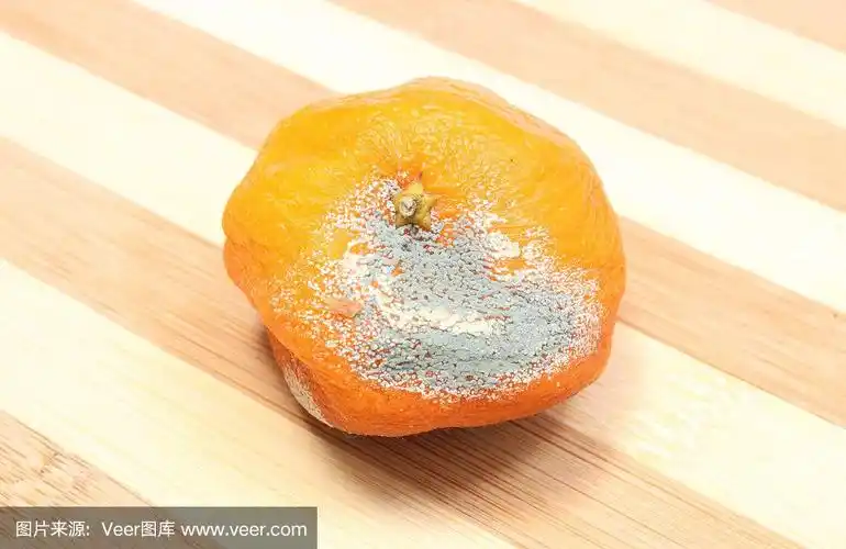 发霉的橘子在木制的背景上