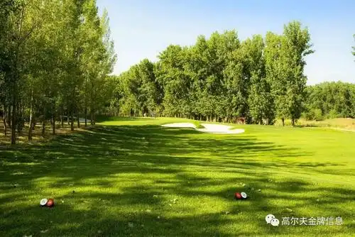 7月31日北京长阳国际高尔夫俱乐部梧桐人家杯高尔夫邀请赛