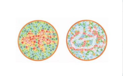 几张权威色盲测试图:图4难度系数9颗星,认出来是飞行员视力