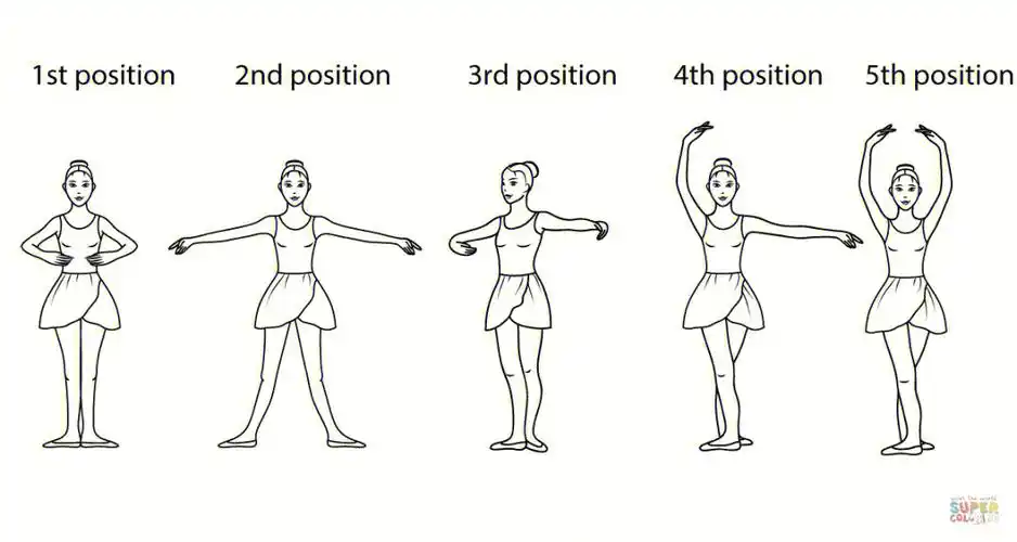 芭蕾02笔记手位