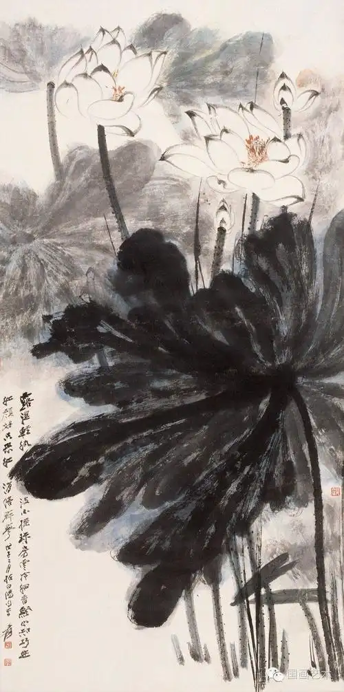 张大千荷花作品五十幅清赏