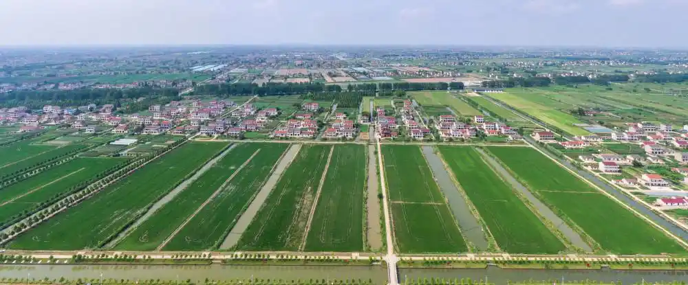 社会江苏海门农业提档升级助力乡村振兴