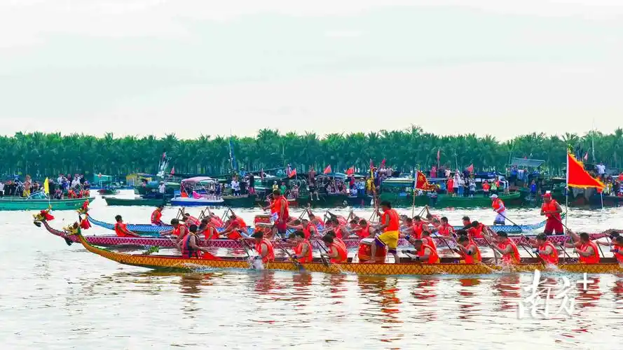 龙舟劈波斩浪!雷州乌石镇上演海上"速度与激情"
