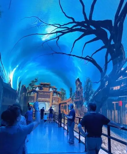 自驾荣威rx5max打卡梦幻千岛湖时光隧道