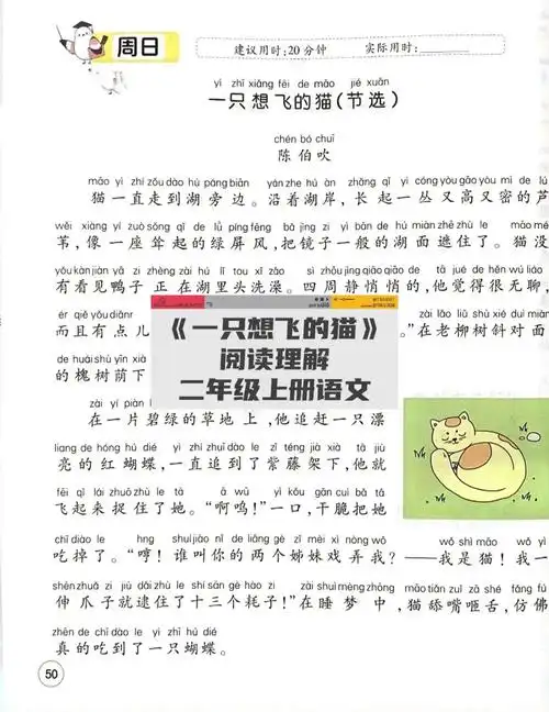 一只想飞的猫阅读理解