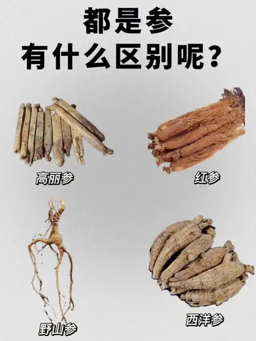 都是参它们有啥区别呢
