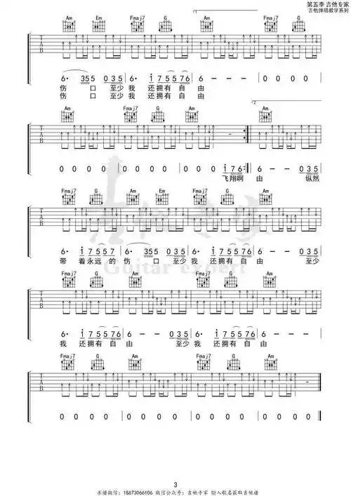 白鸽c调吉他谱 | 伍佰_沉默_带着_自由