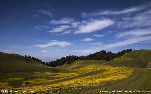 塔里木盆地图片