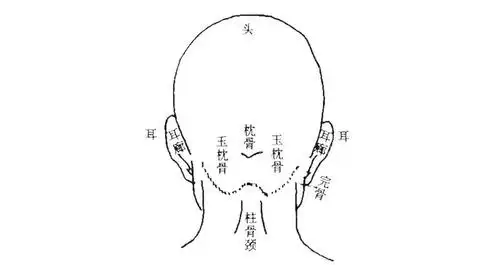 枕骨隆突的人命运视频在线观看 - 西瓜视频