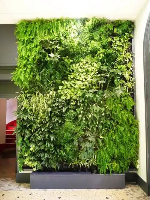 自己动手制作室内绿植墙步骤来了