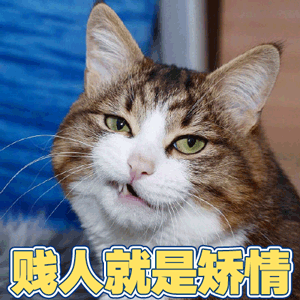 猫萌宠喵星人贱人就是矫情呵soogifsoogif出品gif动图_动态图_表情包