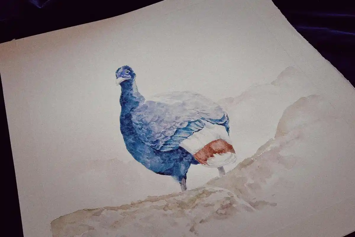 能认出分别都是什么物种吗 #水彩  - 抖音