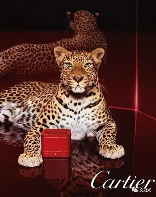 一直以来豹都是其经典形像,无论是产品设计或者海报设计都常常出现豹