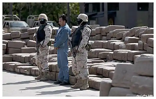 贩毒|毒品|毒枭|墨西哥政府_网易订阅