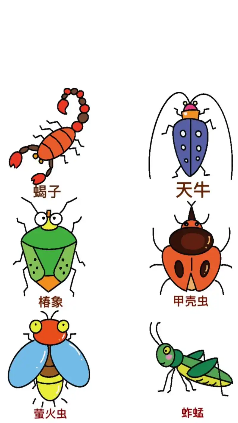 昆虫简笔画(一)#创作灵感 #简笔画 #儿童画 #昆虫 #昆 - 抖音