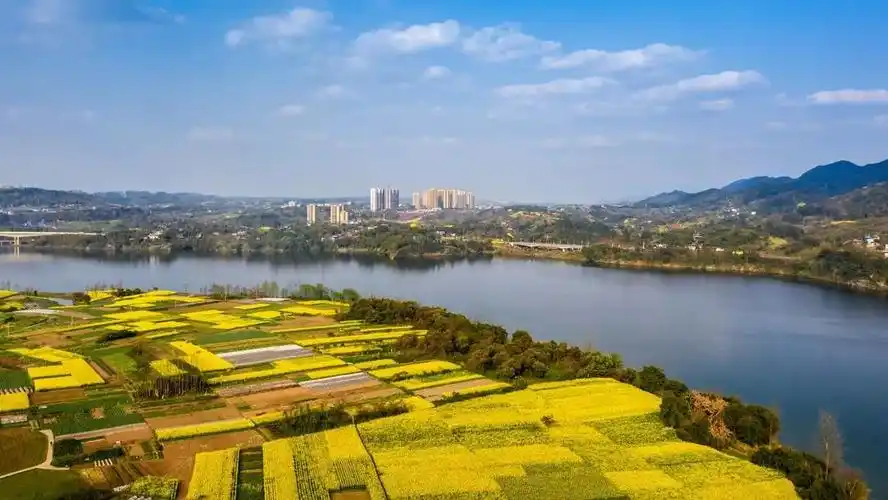 和美乡村花香合川春日美景上新啦
