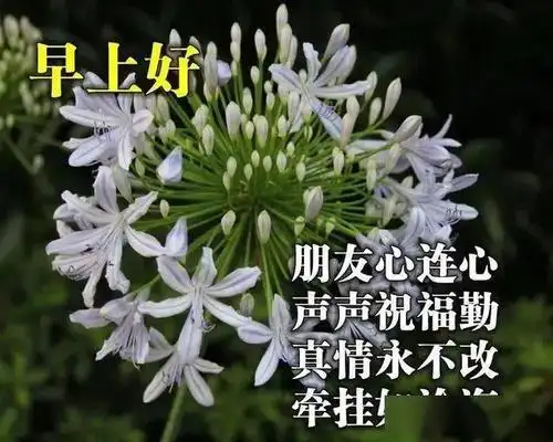 给女朋友发的早安暖心句子2021年星期曰早上好图片