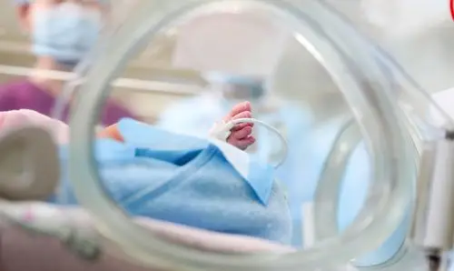 儿科新生儿查房