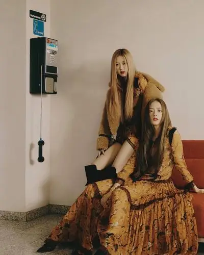 朴彩英rosé jisoo