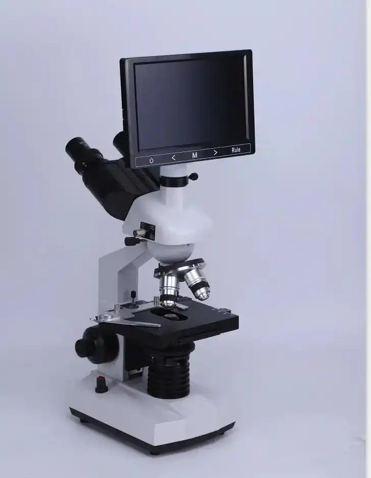 高清数码显微镜显微镜下神奇的世界