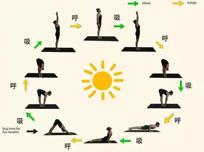 为什么简单的拜日式重复练习会有这么神奇的效果