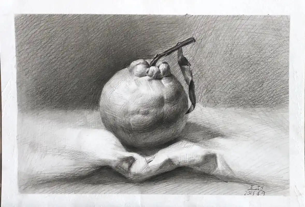 创作灵感 橘子92#素描 步骤图 - 抖音