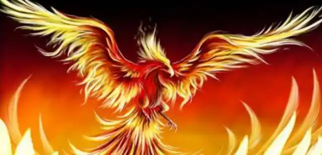 第一名,鲲鹏宝术.