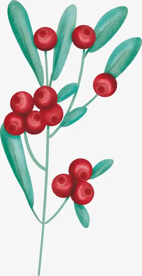 手绘风格水彩蔓越莓免抠素材免费下载_觅元素51yuansu.com