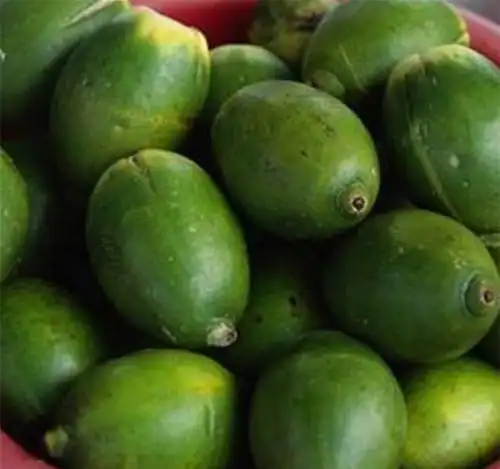 吃槟榔真的会引起口腔癌?这个口腔杀手,一定要警惕!