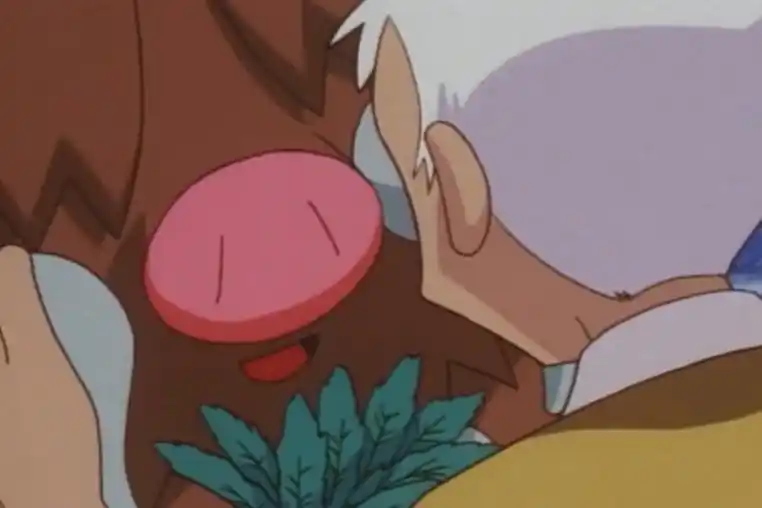 宝可梦寻找失踪的精灵被冰冻的长毛猪与柳伯的心