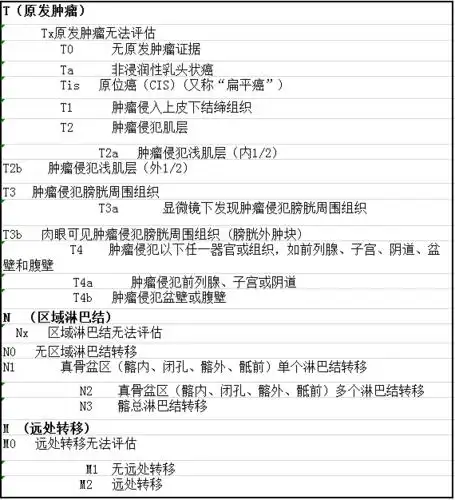 膀胱癌22009年tnm分期who 2004膀胱尿路上皮癌恶性程度分级系统who