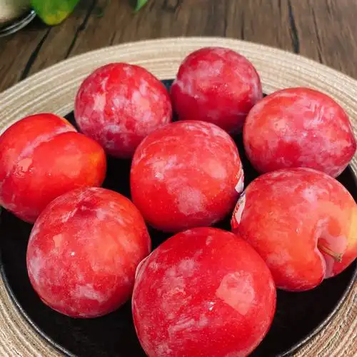 一想到你们没吃过这个李子我就伤心