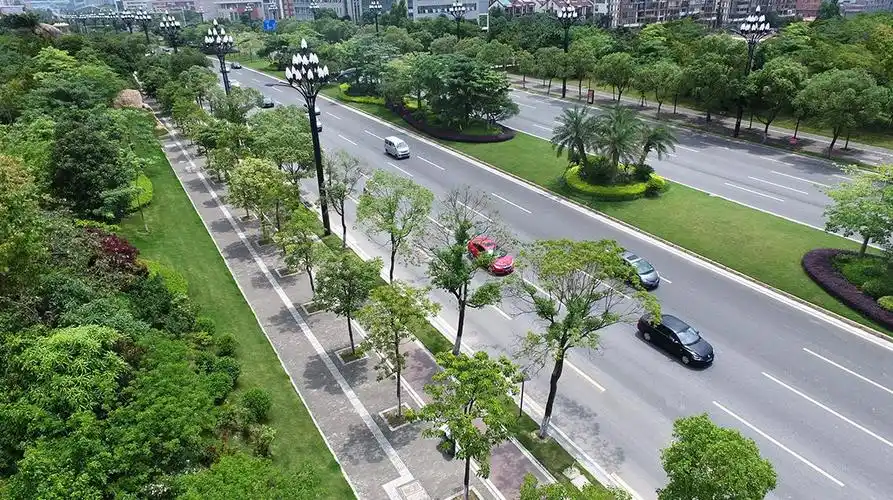 岭南股份城市道路绿化景观植物配置