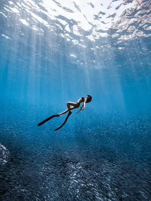 自由潜水海南陵水双帆石坠入沙丁鱼群