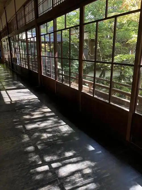 这一个玻璃走廊,光影流转,绿意盎然,室内室外都很好看.