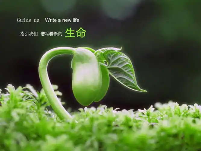 绿色是世界不朽的颜色,是生命和活力的象征,置身美丽的大自然让人远离