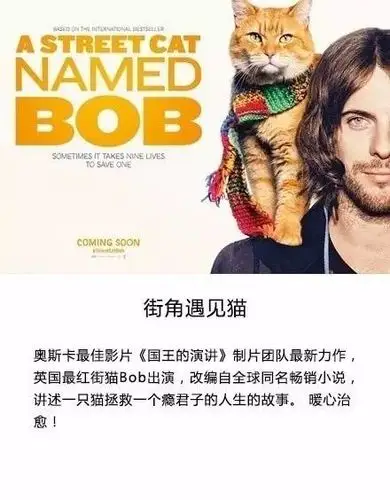 这九部喵星人电影,你们都看过了吗?