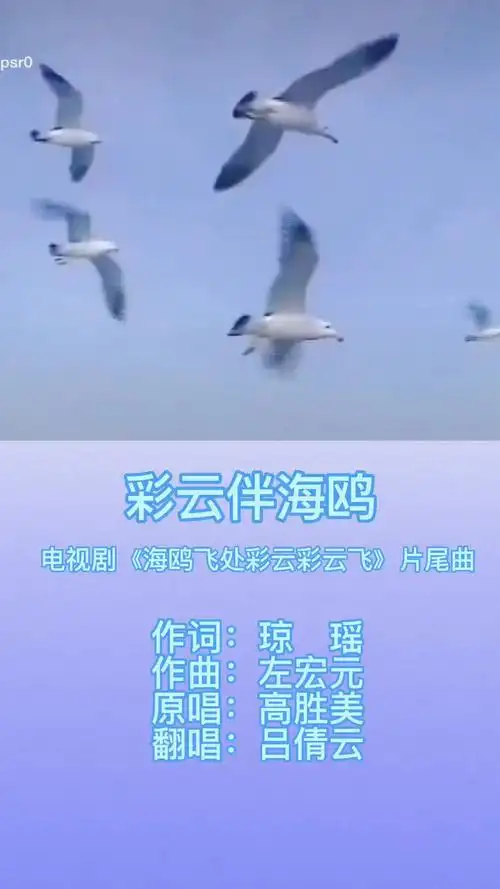 海鸥飞处彩云飞片尾曲彩云伴海鸥吕倩芸真人真唱怀旧影视歌曲戏剧