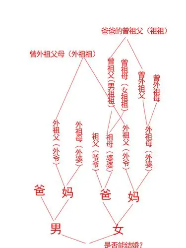 女朋友的妈的妈.和她爸爸的妈.是堂姊妹.