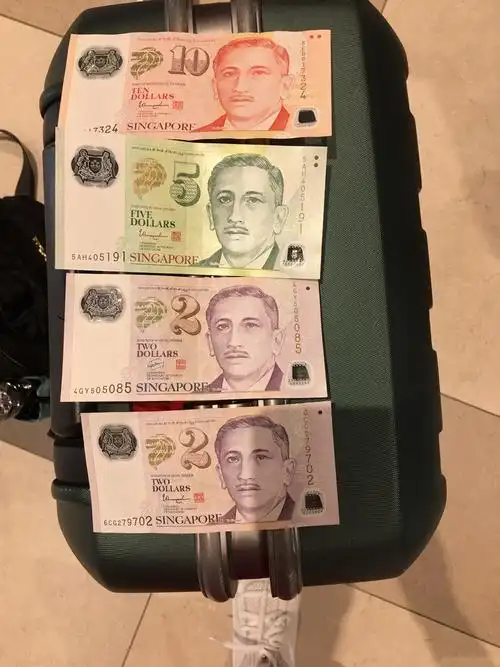 (新加坡人收入较高,一般的年轻人每月都能挣到三四千新币)