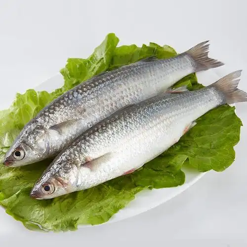 福建新鲜鲻鱼15kg海鲜水产送礼佳品顺丰航空