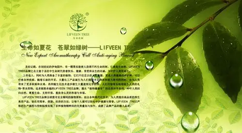 品牌故事 -- 生命花树lifveen tree