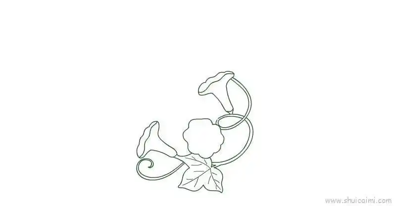 藤蔓儿童画怎么画 藤蔓简笔画简单