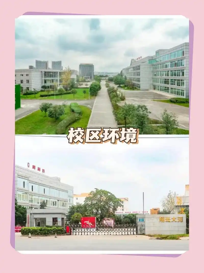 99成都翔云大河艺术学校创办于2003年 94学校基础设施:琴房400余