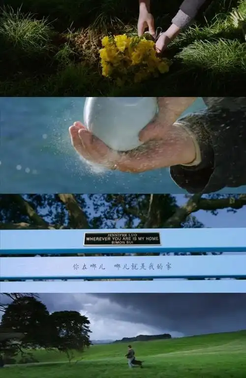 影评《只有芸知道》:它不仅仅是15年相濡以沫的爱情!