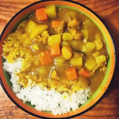 q633做的咖喱鸡肉饭