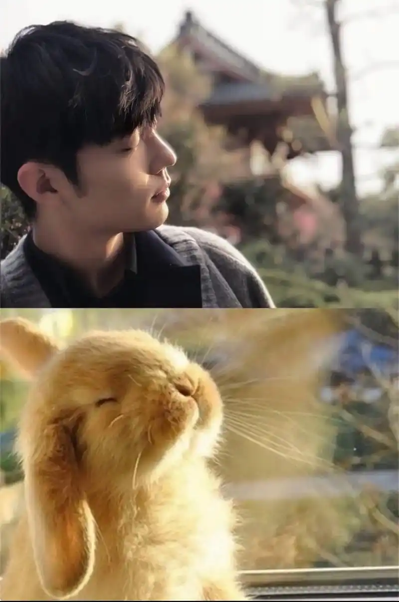 向全世界安利最好的肖战 #肖战  - 抖音