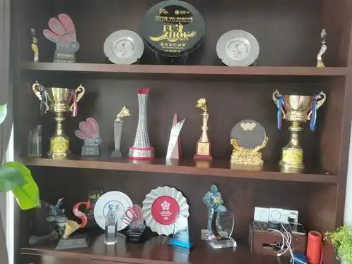 爱吃辣的嘉兴小伙王懿律家中特制的奖杯奖牌墙等着最重要的一块