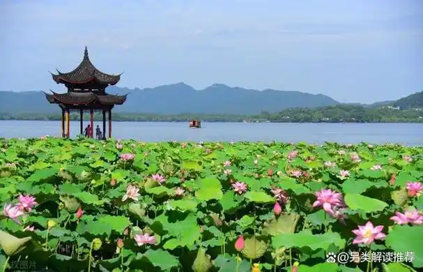 在文人眼中,四季皆美,夏天亦然,盛夏烈日炎炎,古代的文人墨客依然能文