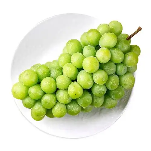阳光玫瑰日本晴王香印青提无籽葡萄 50克